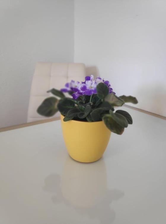 Apartmani Lucica Езера Экстерьер фото